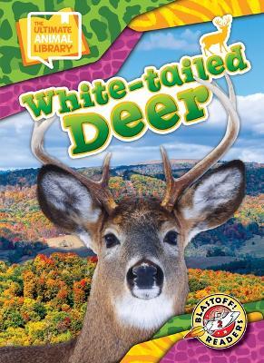 White-Tailed Deer - Janie Scheffer - cover