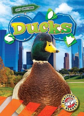 Ducks - Mari C Schuh - cover