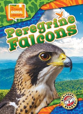 Peregrine Falcons - Chris Bowman - cover