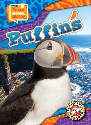 Puffins - Chris Bowman - cover