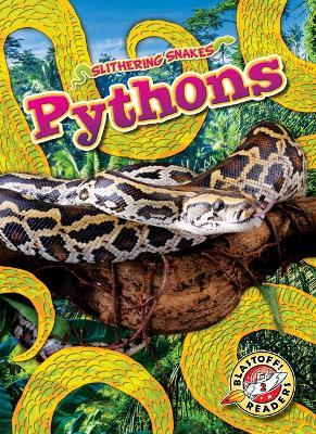 Pythons - Joanne Mattern - cover