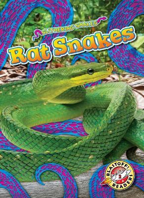Rat Snakes - Joanne Mattern - cover