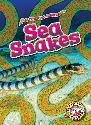 Sea Snakes - Joanne Mattern - cover