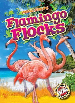 Flamingo Flocks - Rachel Grack - cover