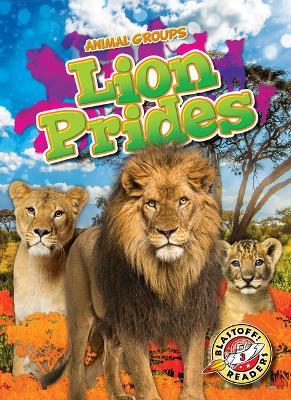 Lion Prides - Rachel Grack - cover