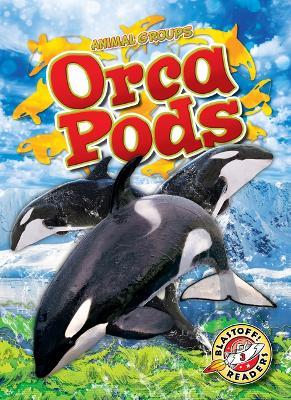 Orca Pods - Rachel Grack - cover