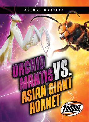 Orchid Mantis vs. Asian Giant Hornet - Nathan Sommer - cover
