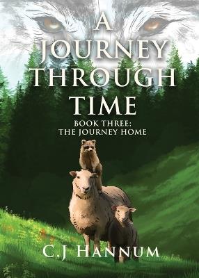 A Journey Through Time Book Three: The Journey Home - C J Hannum - cover