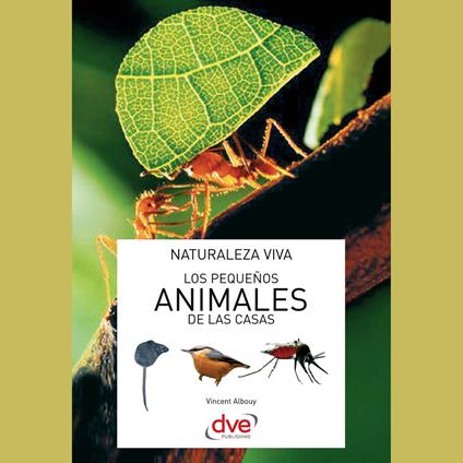 Los pequeños animales de las casas