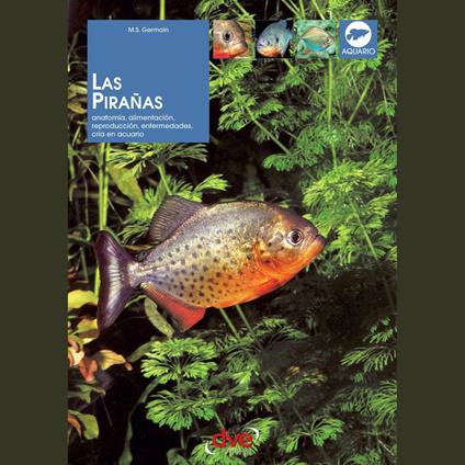 Las pirañas: Anatomía, alimentación, reproducción, enfermedades, cría en acuario