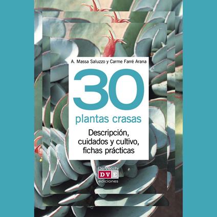30 plantas crasas