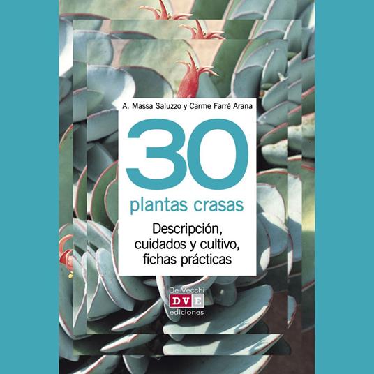 30 plantas crasas