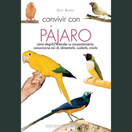 Convivir con su pájaro
