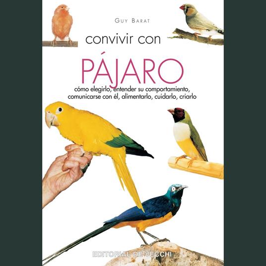 Convivir con su pájaro