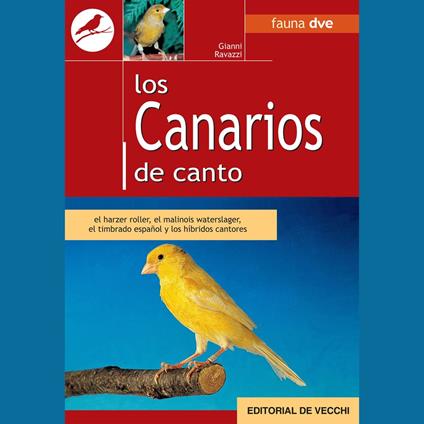 Los canarios de canto