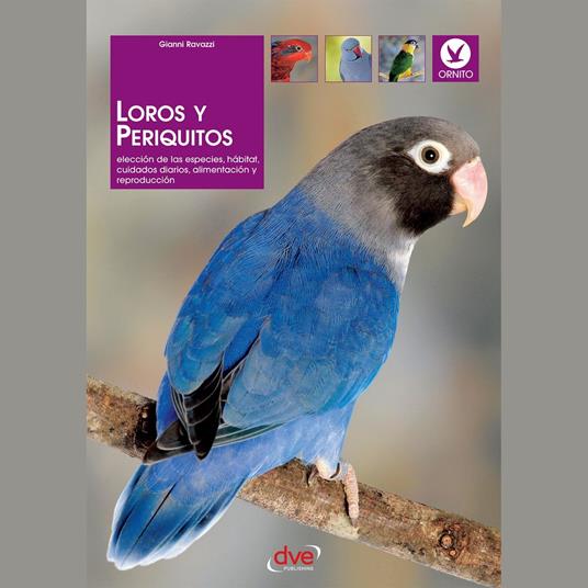 Loros y periquitos