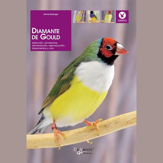 Diamante de Gould