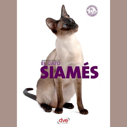El gato siamés