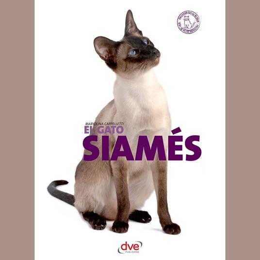 El gato siamés