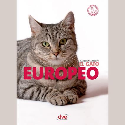 El gato Europeo