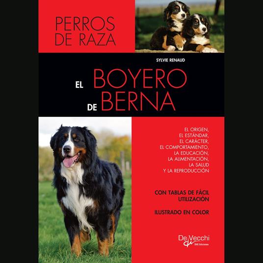 El boyero de Berna