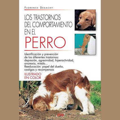 Los trastornos del comportamiento en el perro