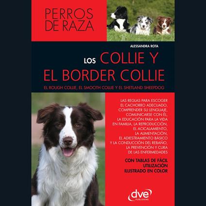 Los collie y el border collie
