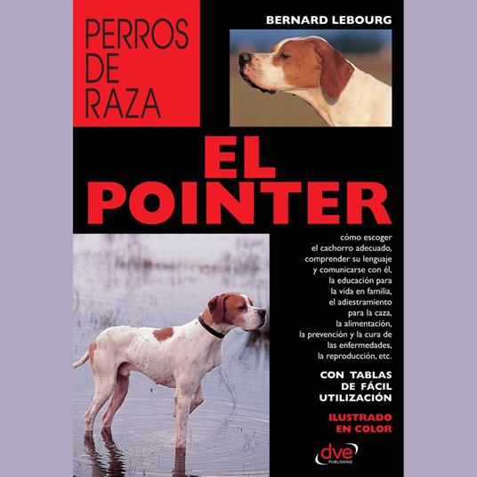 El pointer