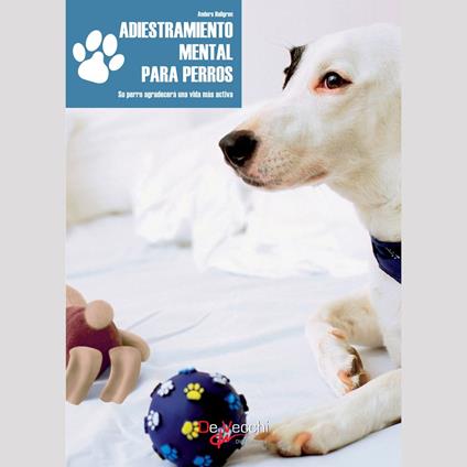 Adiestramiento mental para perros