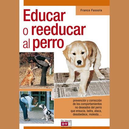 Educar o reeducar al perro