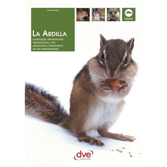 La ardilla