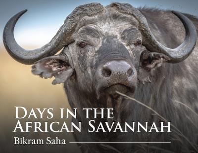 Days in the African Savannah - Bikram Saha - cover