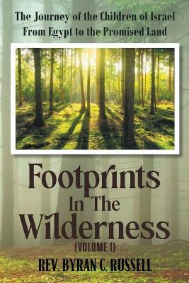Footprints in the Wilderness (Volume 1): The Journey of the Children of Israel From Egypt to the Promised Land - Byran C Russell - cover
