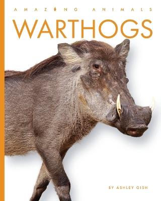 Warthogs - Ashley Gish - cover