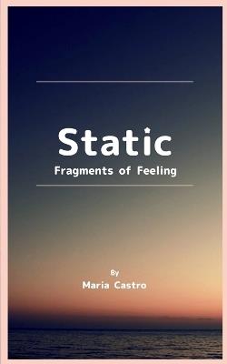 Static Fragments of Feeling - Maria Castro - cover