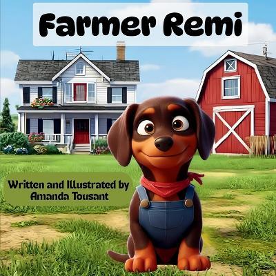 Farmer Remi - Amanda Lee Tousant - cover