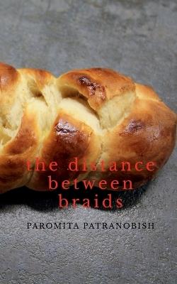 The Distance Between Braids - Paromita Patranobish - cover