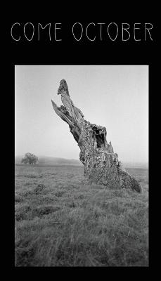 Come October - Damien Ark - cover