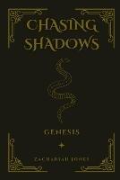Chasing Shadows: Genesis