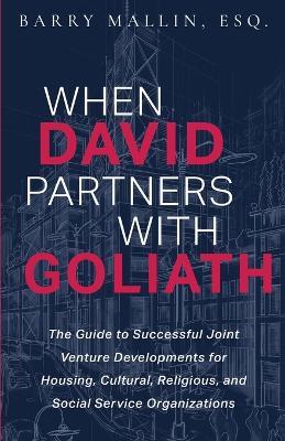 When David Partners with Goliath: The Guide to Successful Joint Venture Developments for Housing, Cultural, Religious, and Social Service Organizations - Barry Mallin - cover