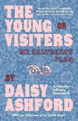 The Young Visiters: Or Mr Salteena's Plan - Daisy Ashford - cover