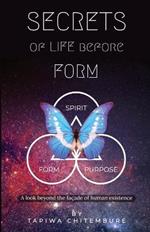 Secrets of Life Before Form: A look beyond the facade of human existence