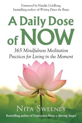 A Daily Dose of Now: 365 Mindfulness Meditation Practices for Living in the Moment - Nita Sweeney - cover