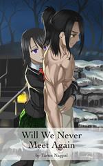 Will We Never Meet Again