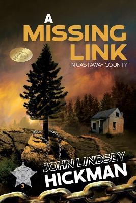 A Missing Link in Castaway County - John Lindsey Hickman - cover