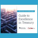 Guide to Excellence in Treasury
