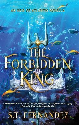 The Forbidden King - S T Fernandez - cover