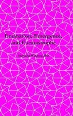 Emanation, Emergence, and Eucatastrophe: Book 7 of Physics from Maximal Information Emanation