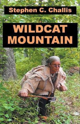 Wildcat Mountain - Stephen C Challis - cover