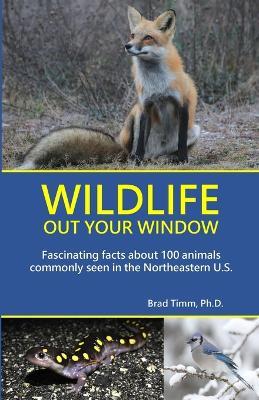 Wildlife Out Your Window: Fascinating Facts About 100 Animals Commonly Seen in the Northeastern U.S. - Brad Timm - cover
